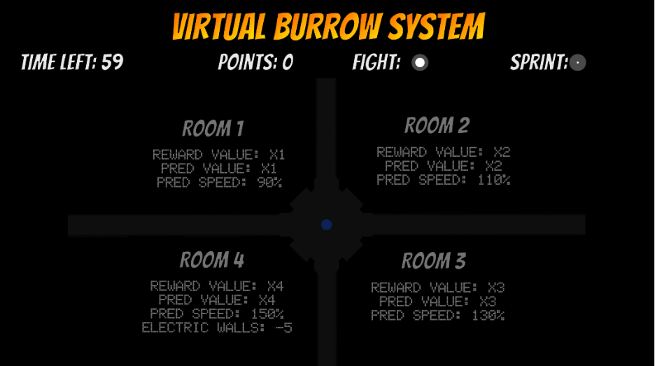 Virtual Burrow System custom research software interface